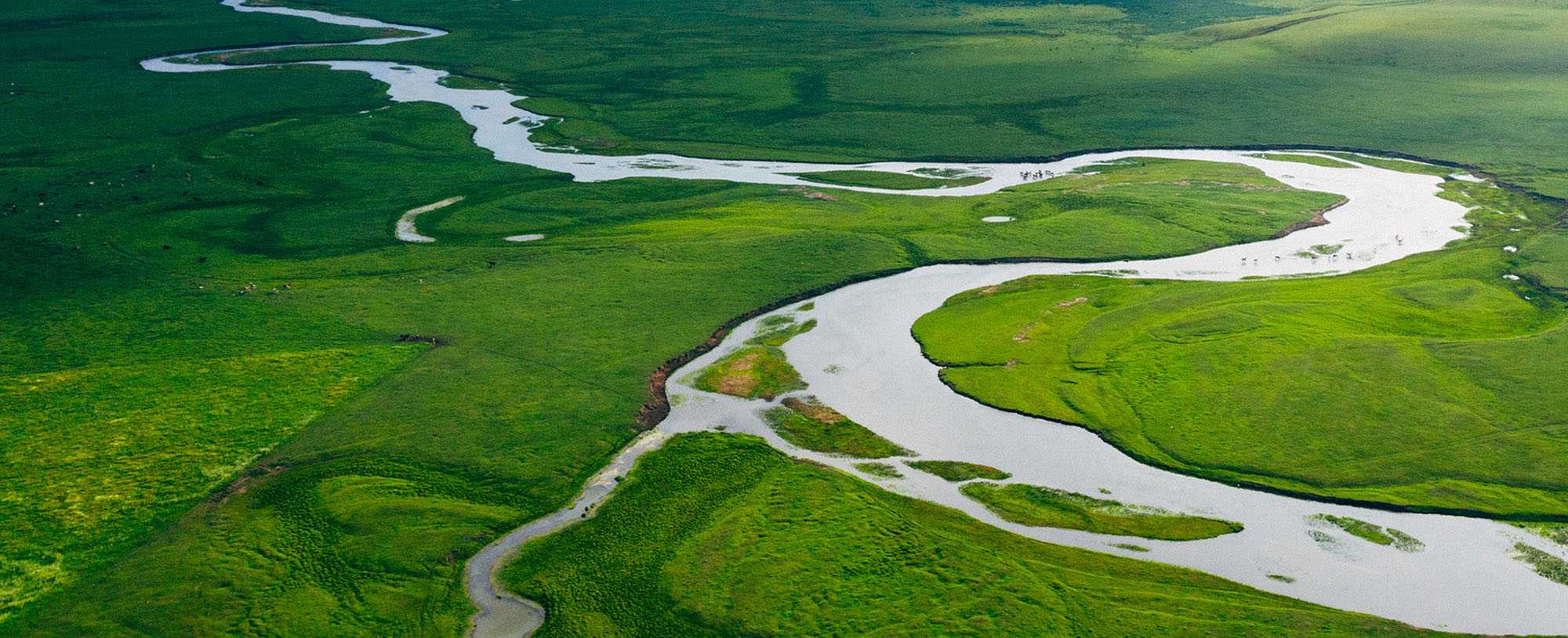 环保理念背景图